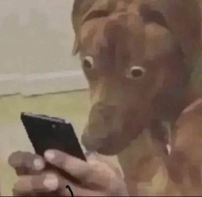 El Buaylan Cusi tweet media