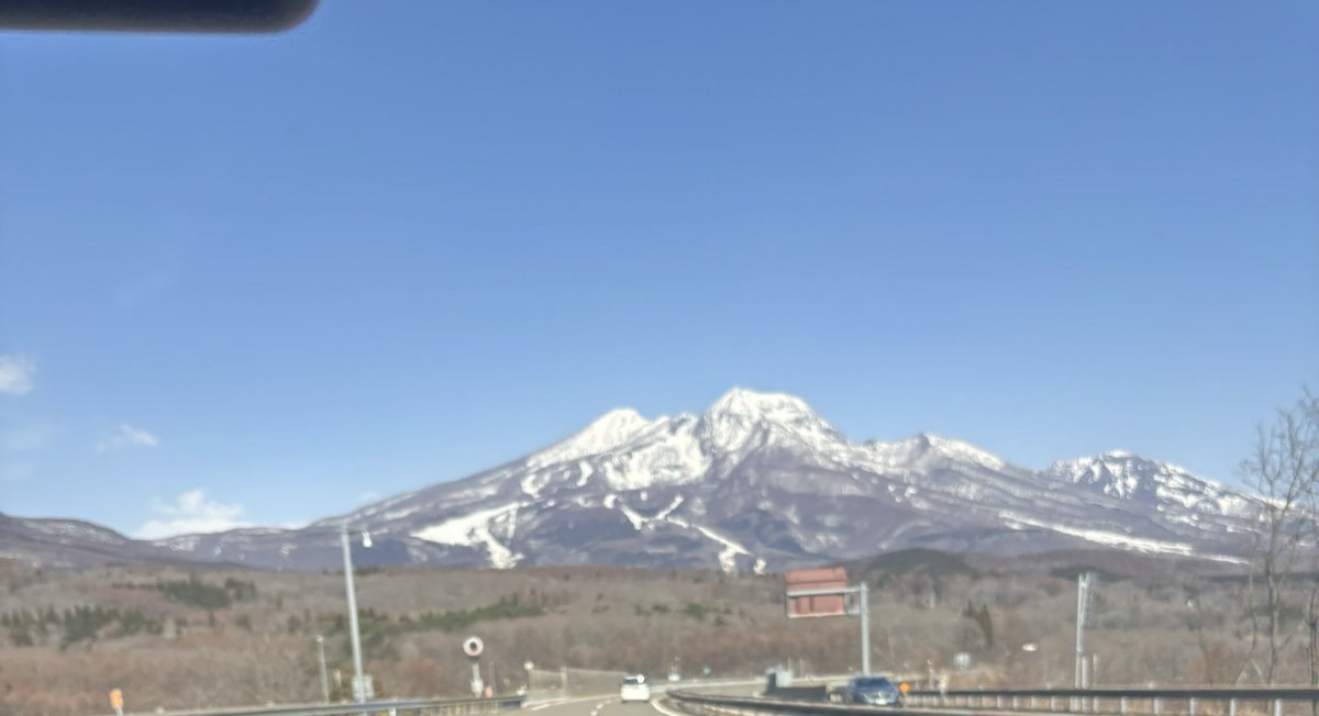 SHIBA(シバ) tweet media