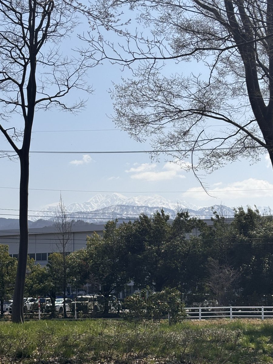 SHIBA(シバ) tweet media