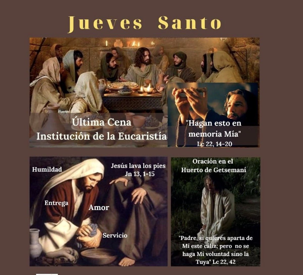 Elsa Capillera tweet media