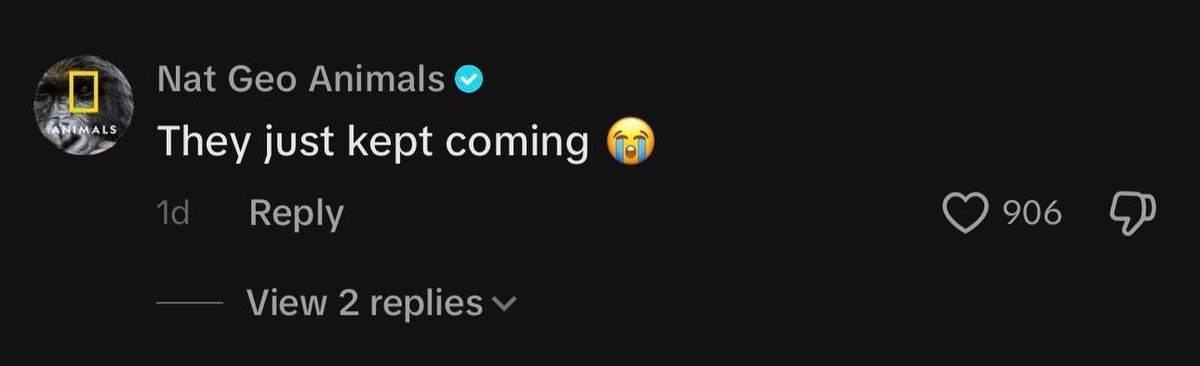 Sixseven tweet media