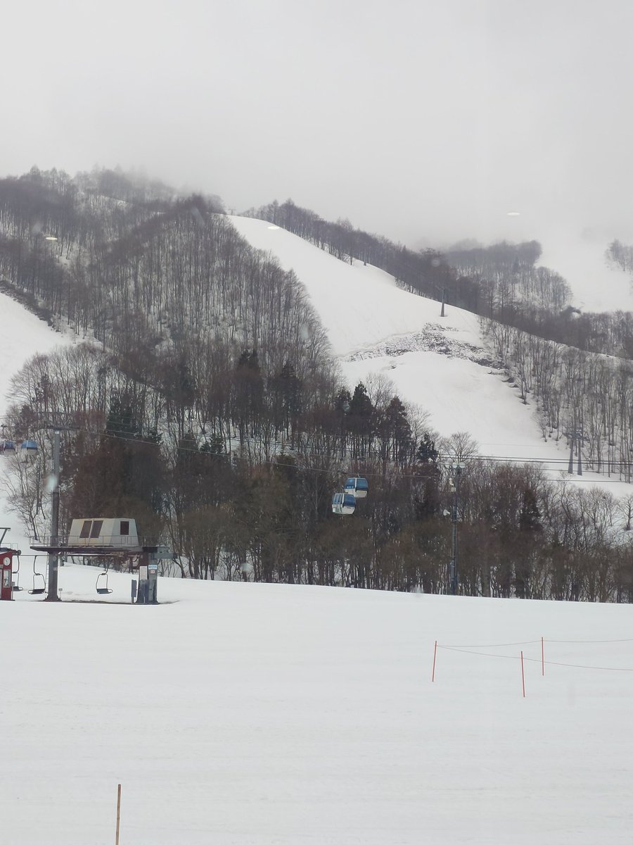 かちゅや@雪遊びシーズン tweet media