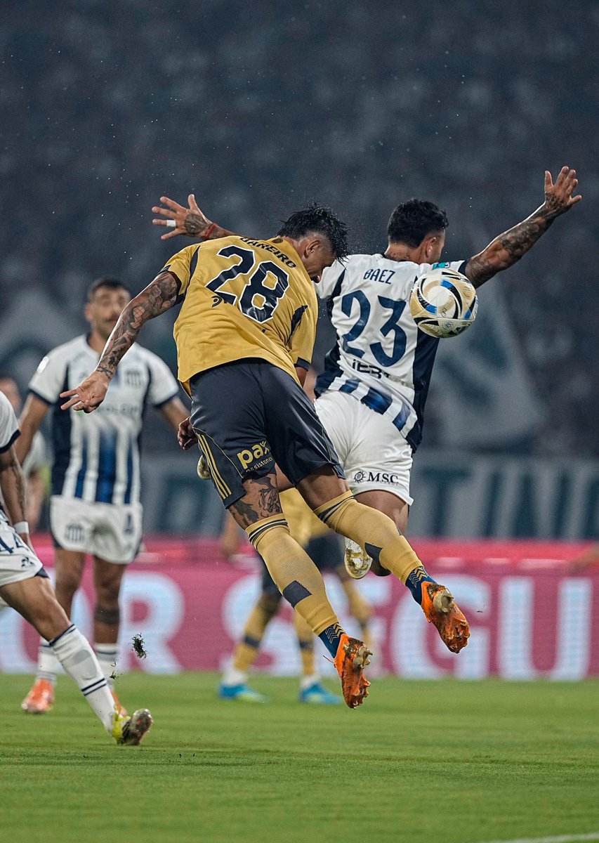 Martin Arevalo tweet media