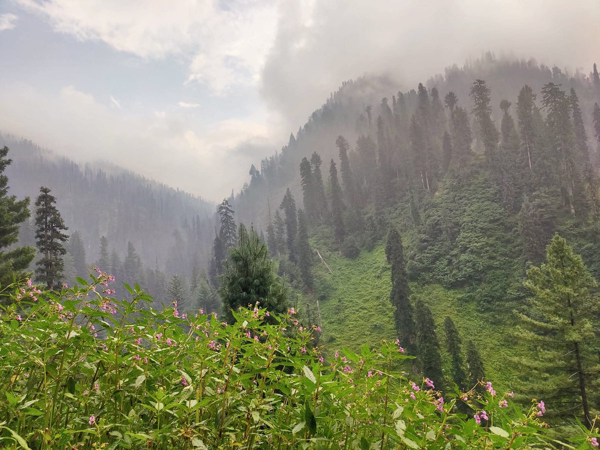 Waseem Khan tweet media