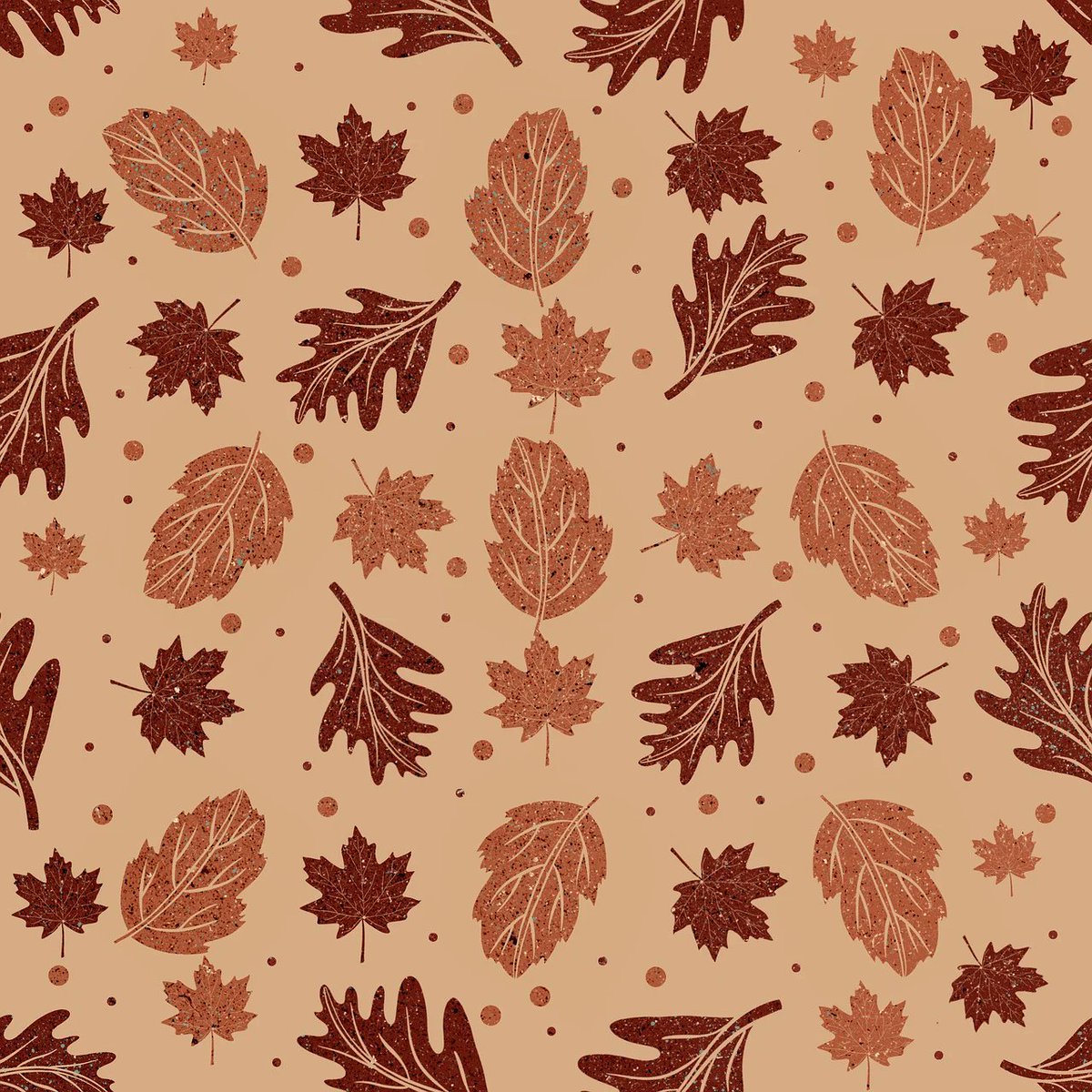 Alex Hernandez tweet media