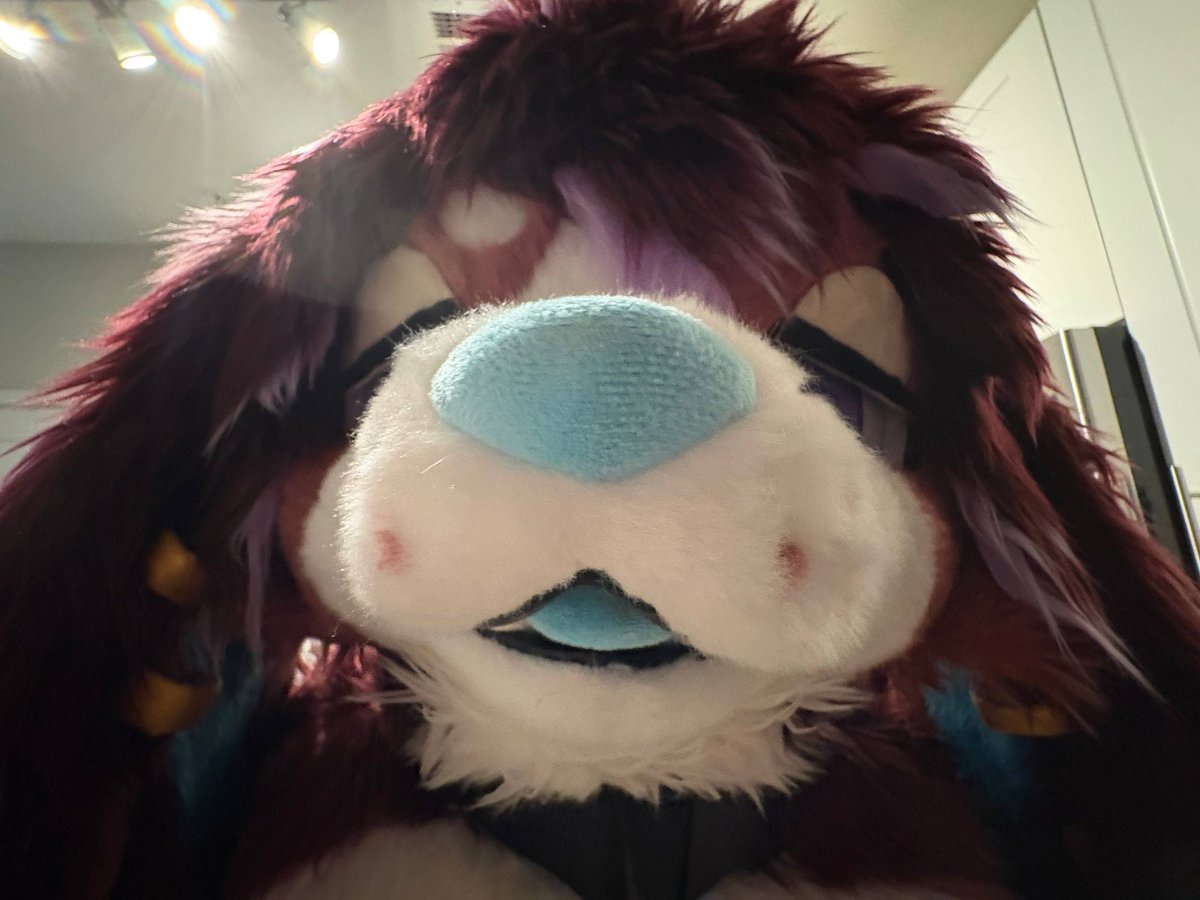 Evil Bagel 🔞 tweet media