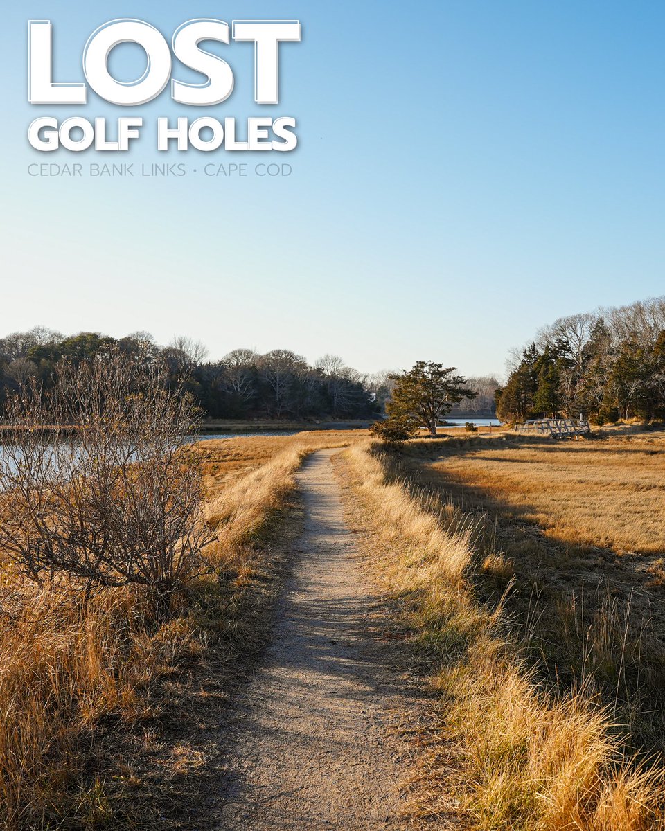 Mass Golf tweet media