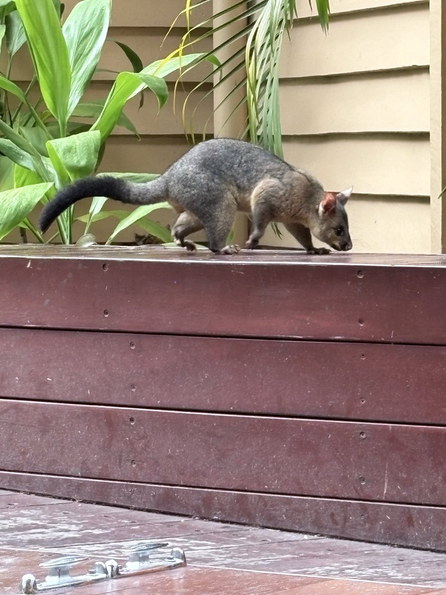 💧David maycraft🩸🌱 tweet media