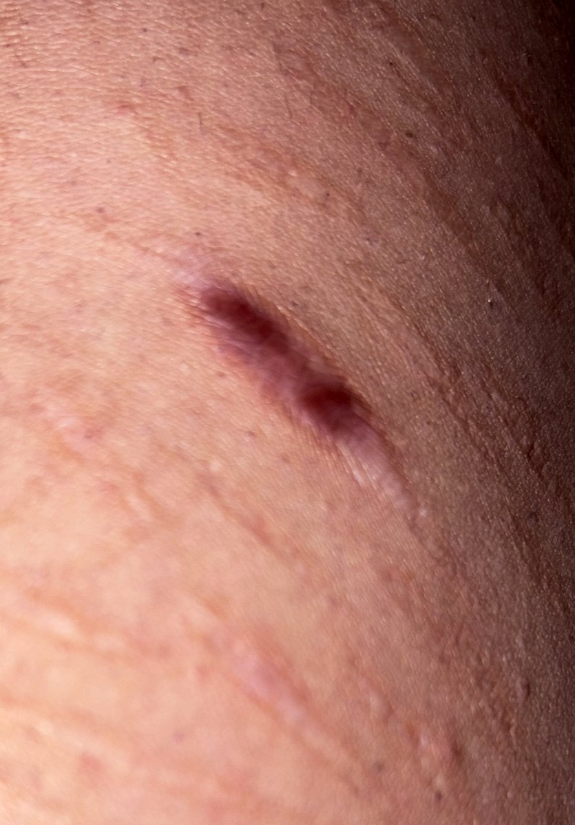 *ೃ༄ opal ! shedtwt tweet media