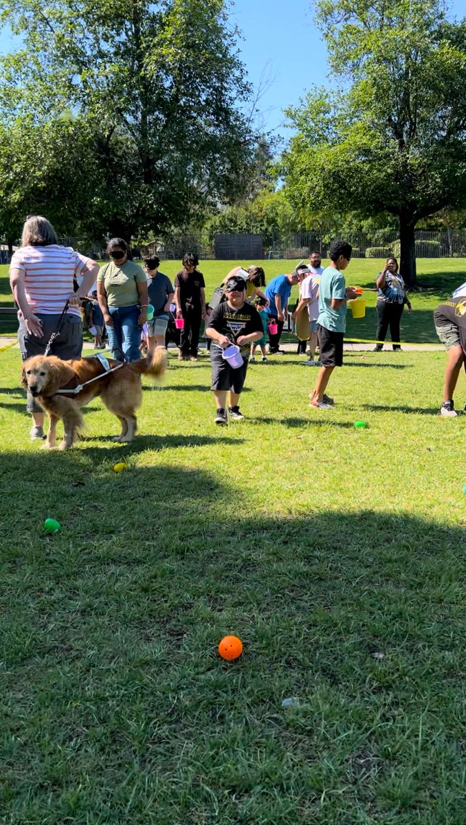 VCBFresno's tweet photo. What an amazing day at our  Beeper Egg Hunt this past Saturday! 
It was so special to see our community come together for a day of inclusive fun. Thank you to all the wonderful families who joined us! We also thank RICV and the East Fresno Kiwanis Club for your generous support. https://t.co/ajcA9Ez9Yi