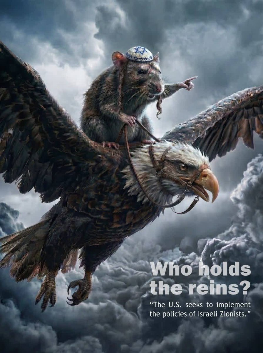 Ying Yang tweet media