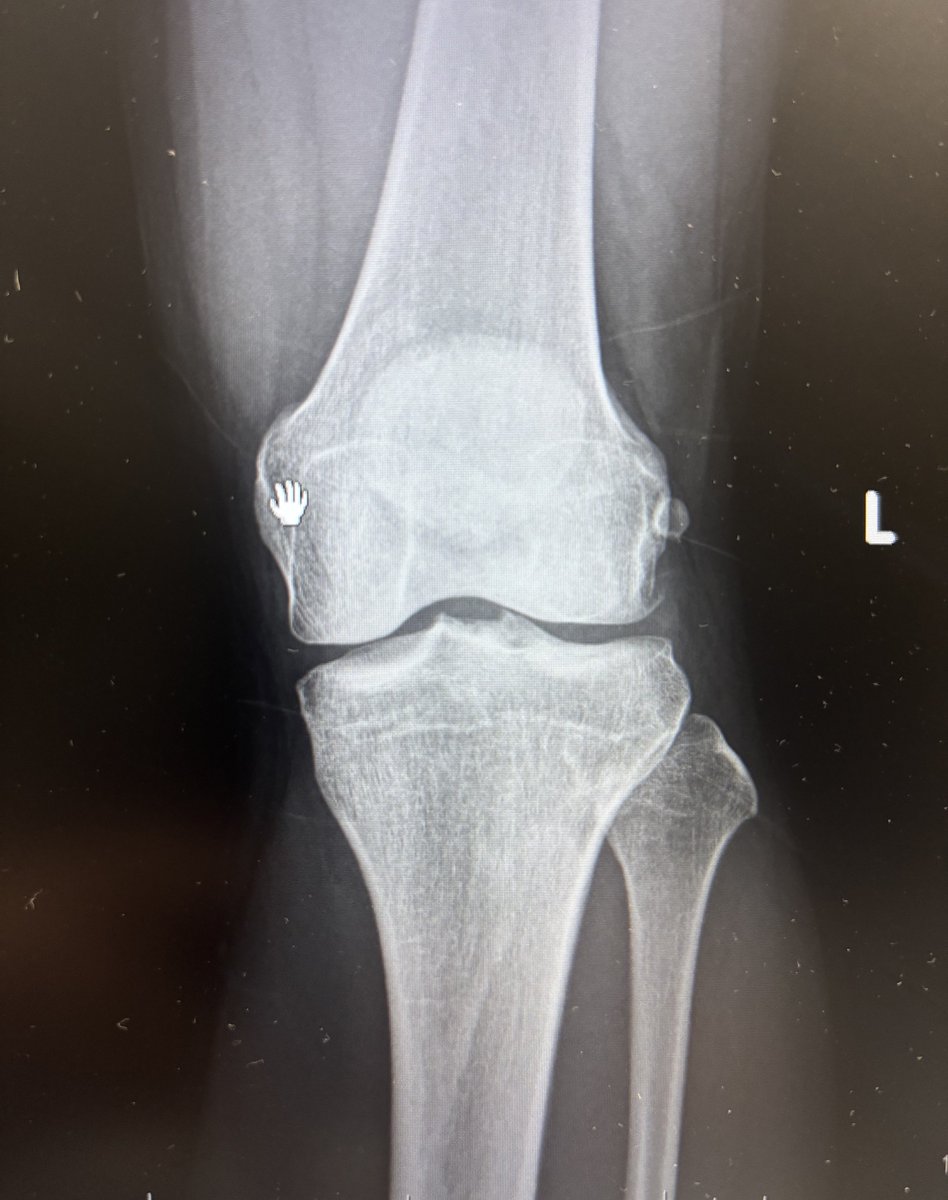 Zing=Nicks tweet media