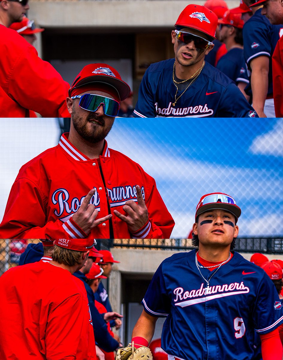 MSU Denver Baseball tweet media