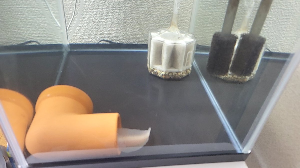 タカ砲ちゃんねる 旧光宙ちゃんねる tweet media