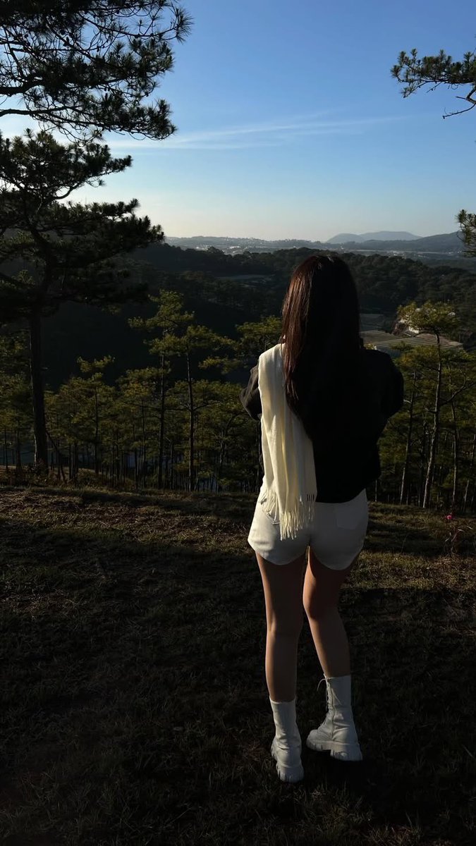 Iris Noir tweet media