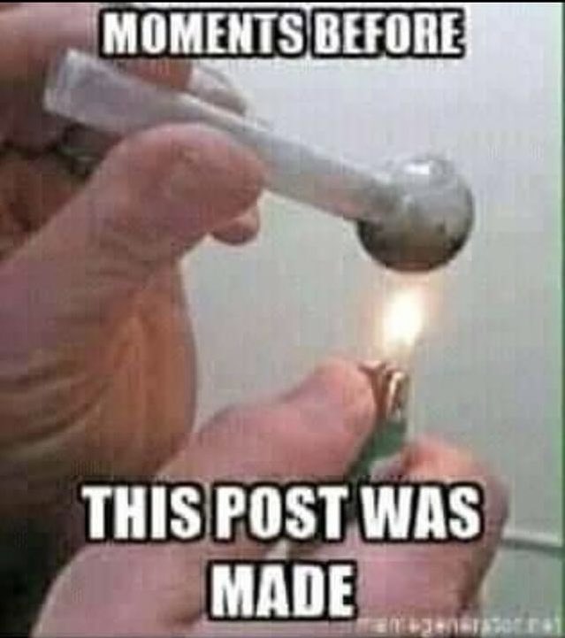 🏝️FLGRL Heather🏝️ tweet media