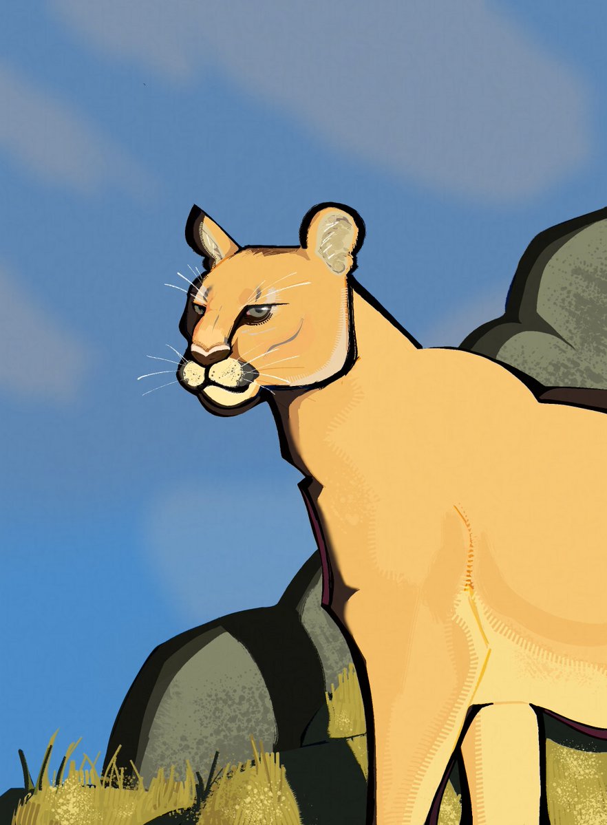 Dibujo de un puma que hice en 1 hora y 58 segundos para una tarea grrrr soy tremendaaaaa ayayayayya