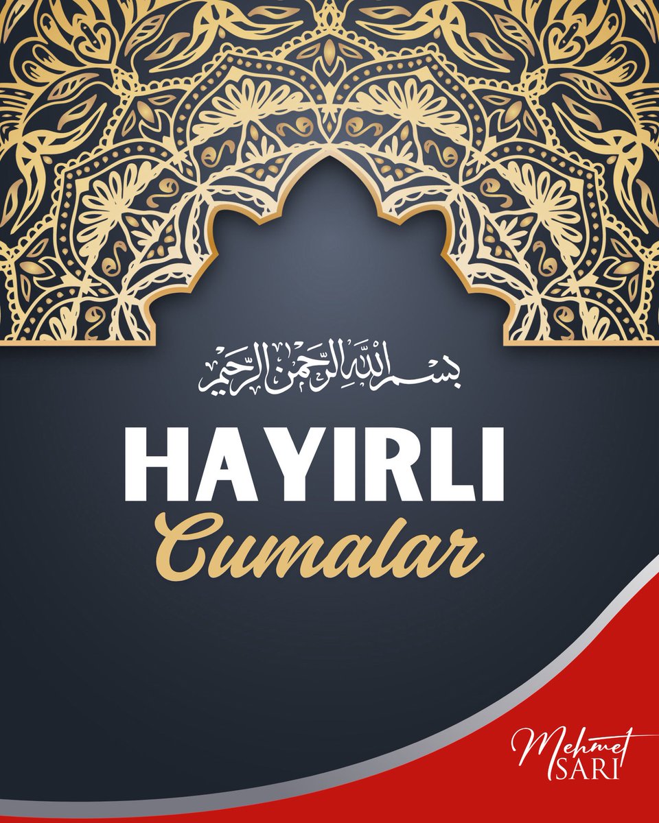 Mehmet SARI tweet media