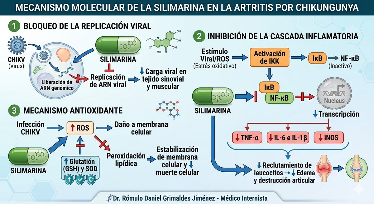 Daniel Grimaldes MD🇧🇴 tweet media