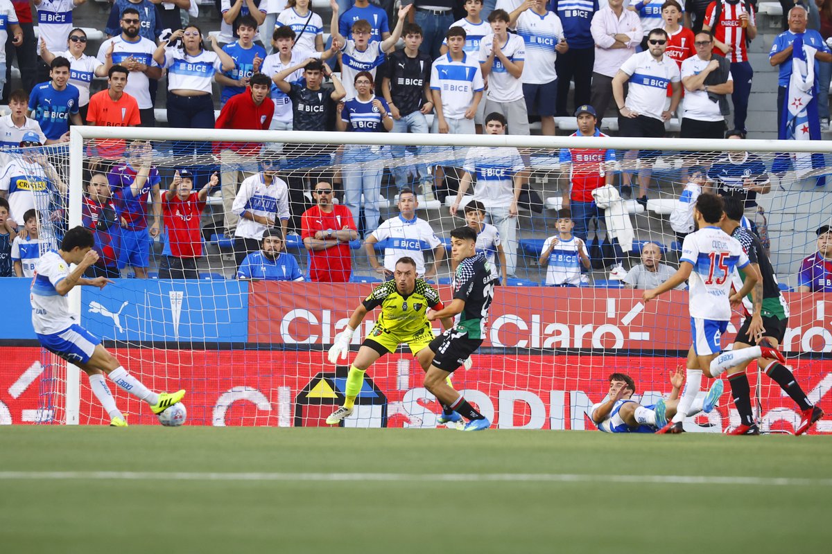 Luis Reyes Sepúlveda tweet media