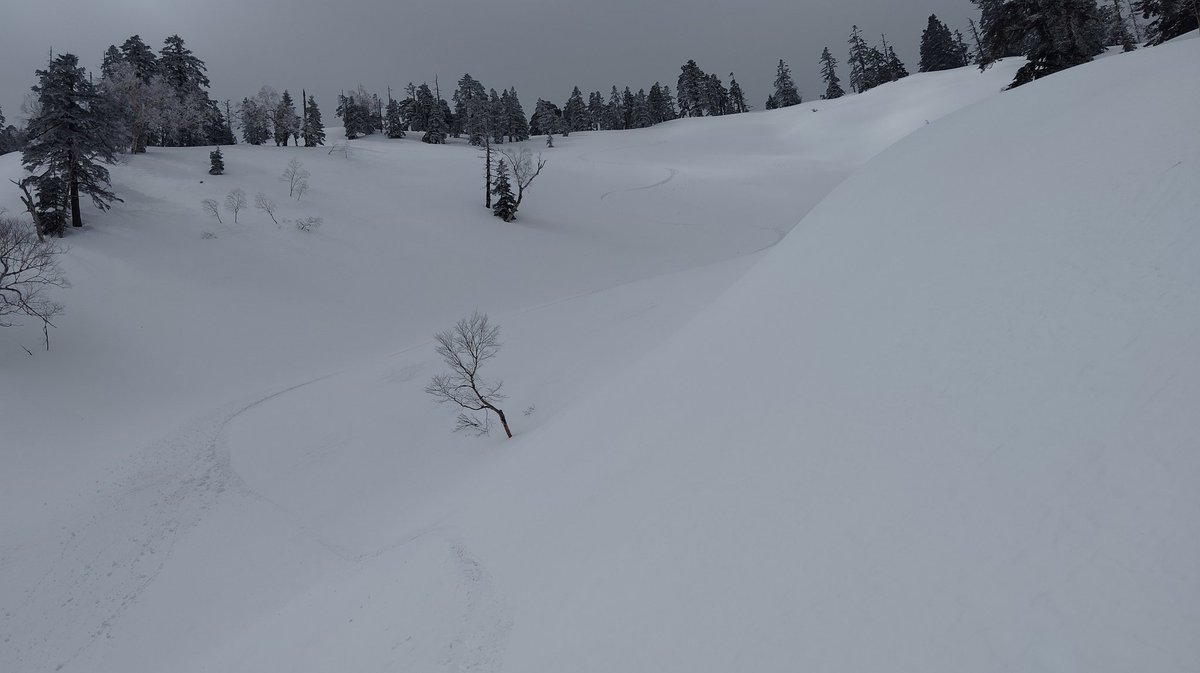 オオカワ tweet media