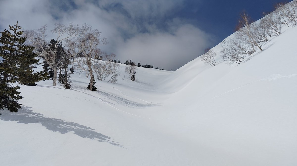 オオカワ tweet media