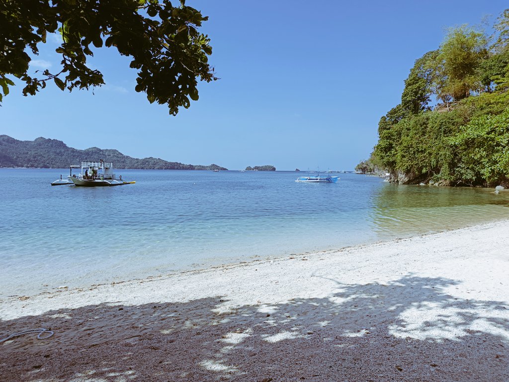 MarkG1980 tweet media