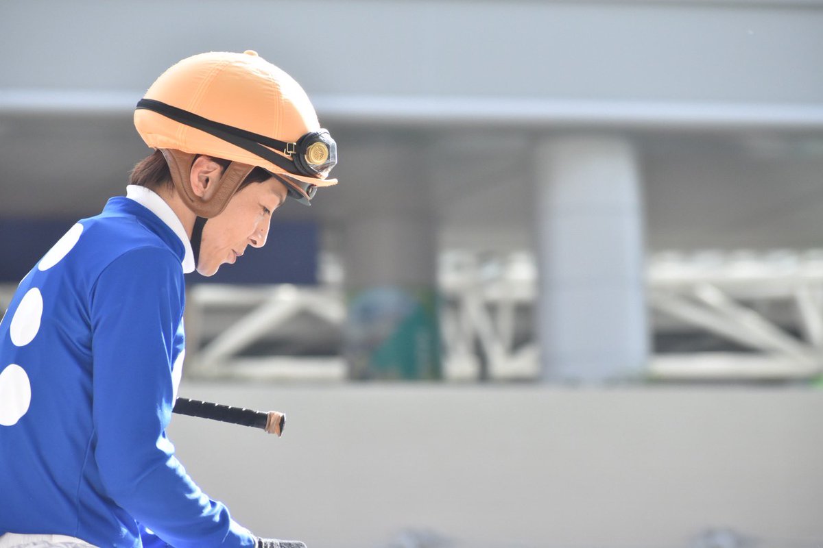 미유키 (みゆき) tweet media