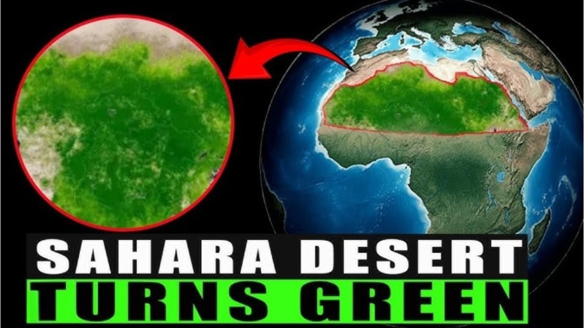 Peter Clack tweet media