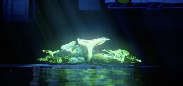 spencerr tweet media