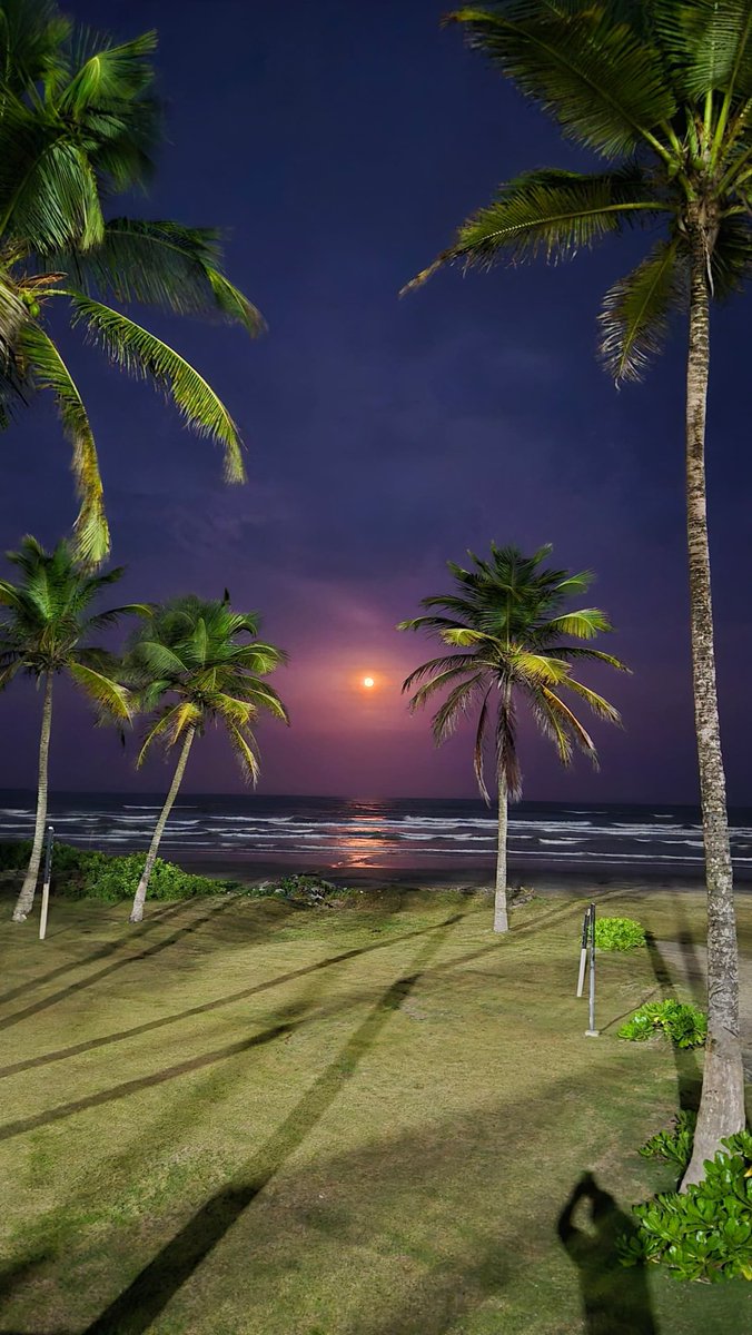 Joe Soteldo Beach 🌊 tweet media