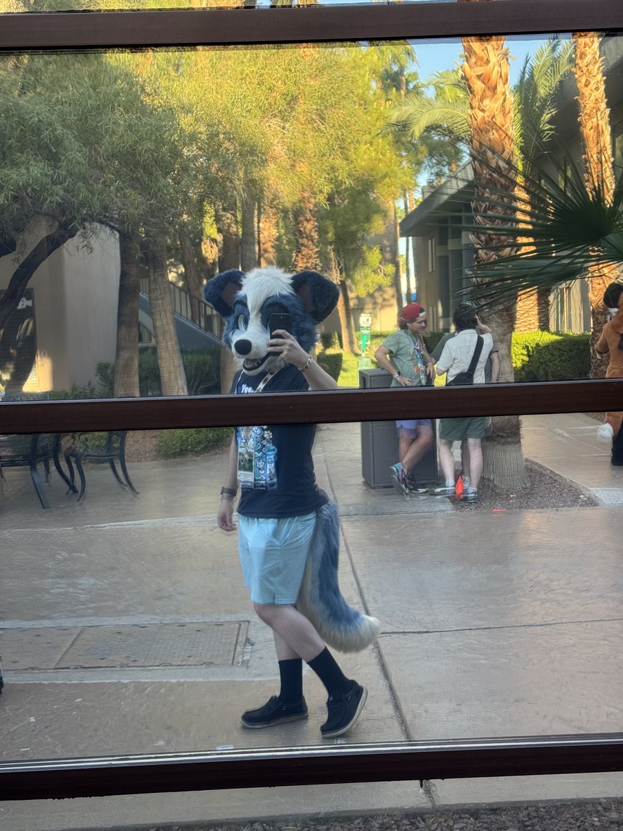 Little Alpha Pup (Milo) 🔜 LVFC tweet media