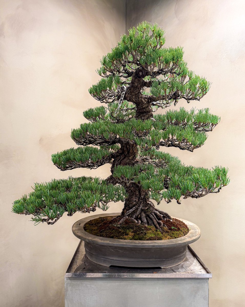 〜ミナミの車窓から〜
ワンルーム
カーテンのない窓
山積みのダンボール

春ですね
新入生、新社会人のご活躍を祈りつつ早番です🌳