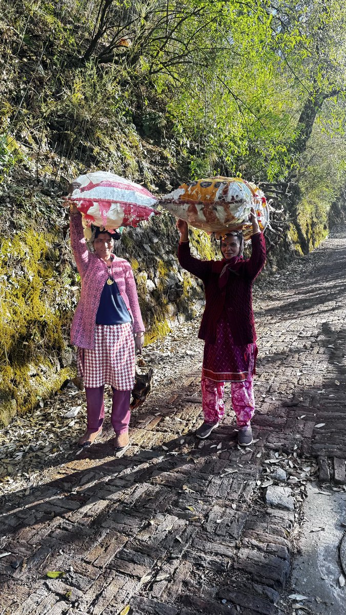 Janhavi Prasada | जाह्नवी प्रसाद tweet media