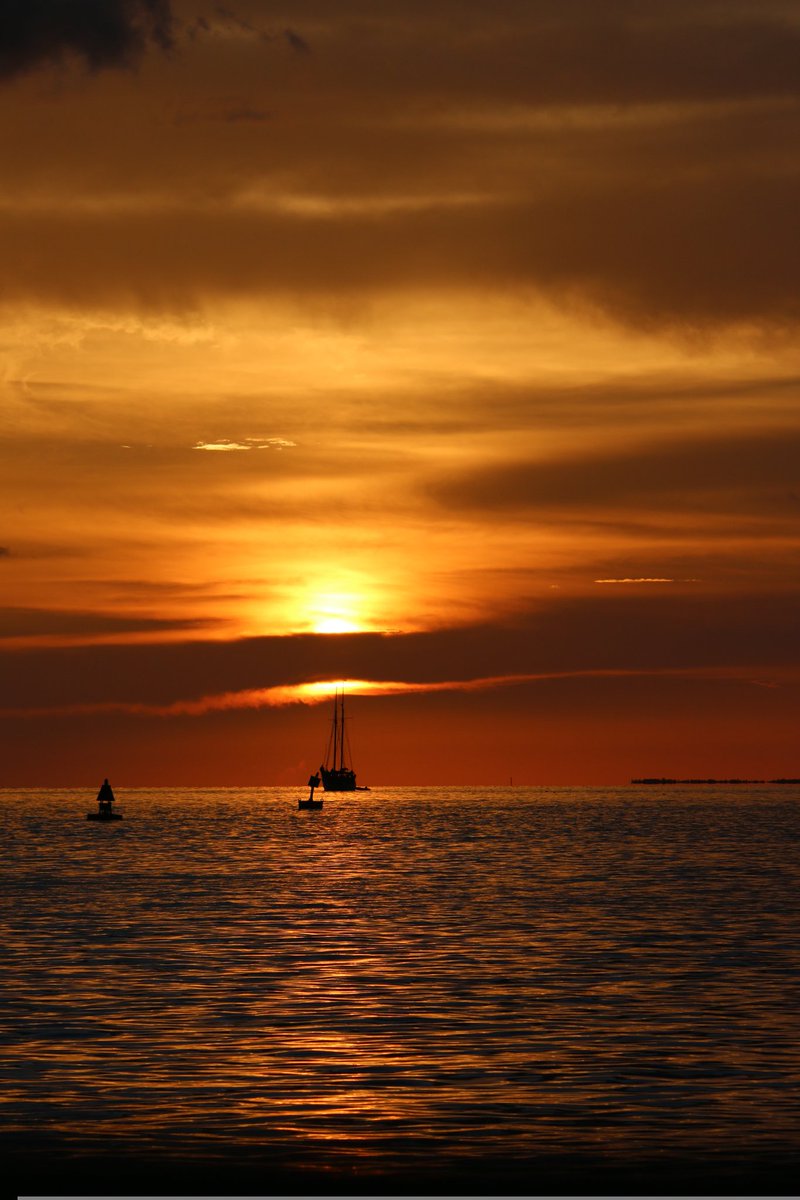 Guissepie31393's tweet image. This sunset brought to us by,

    Sanibel Island, Florida 

        #sunset   #evening