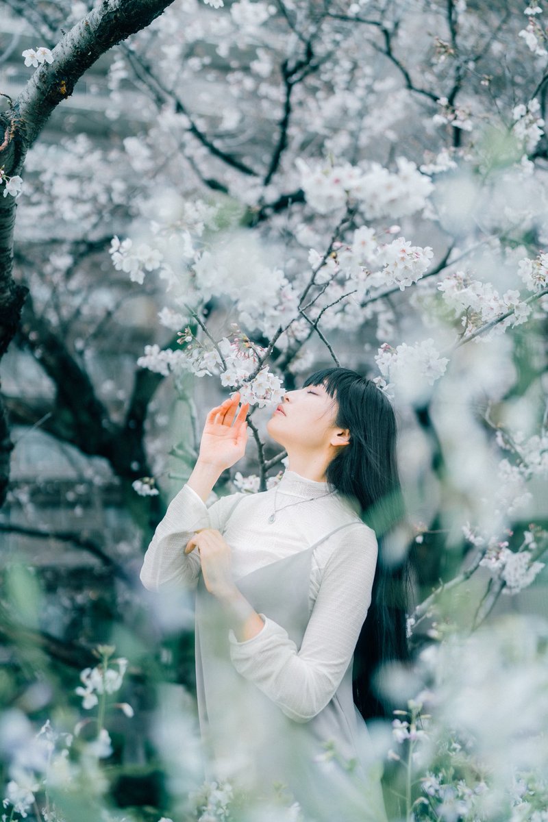 inevitable0102's tweet photo. Photography / Y.OHNO https://t.co/CLQqD8QSiz