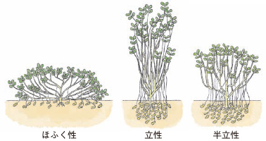 ChihiroKT tweet media