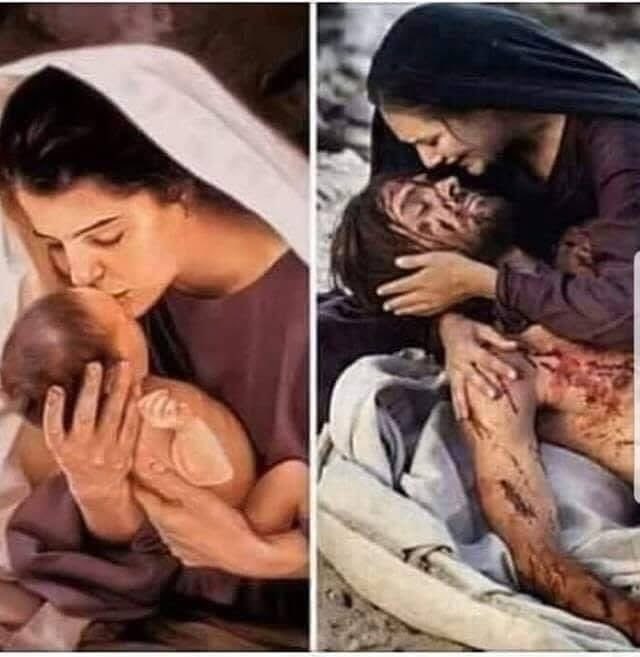 Shannon 🇺🇸I stand with America tweet media