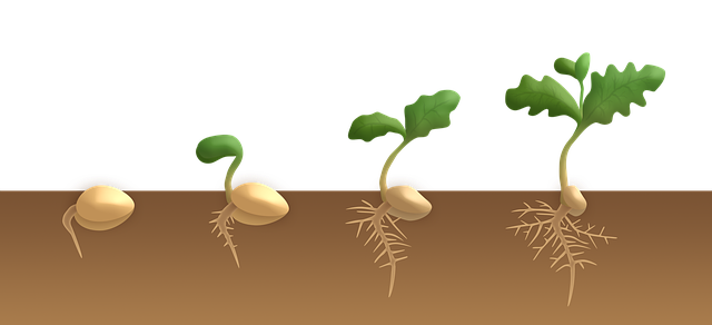 Z李 🇺🇦 NO WAR 🕊@ShinjukuSokai tweet media