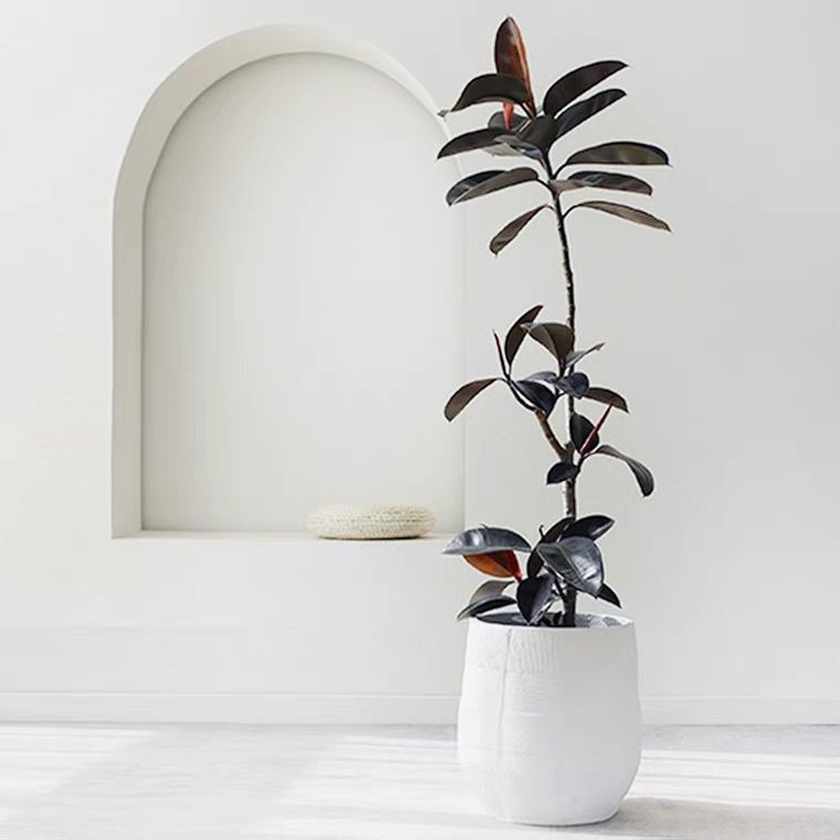 Rika Blank tweet media