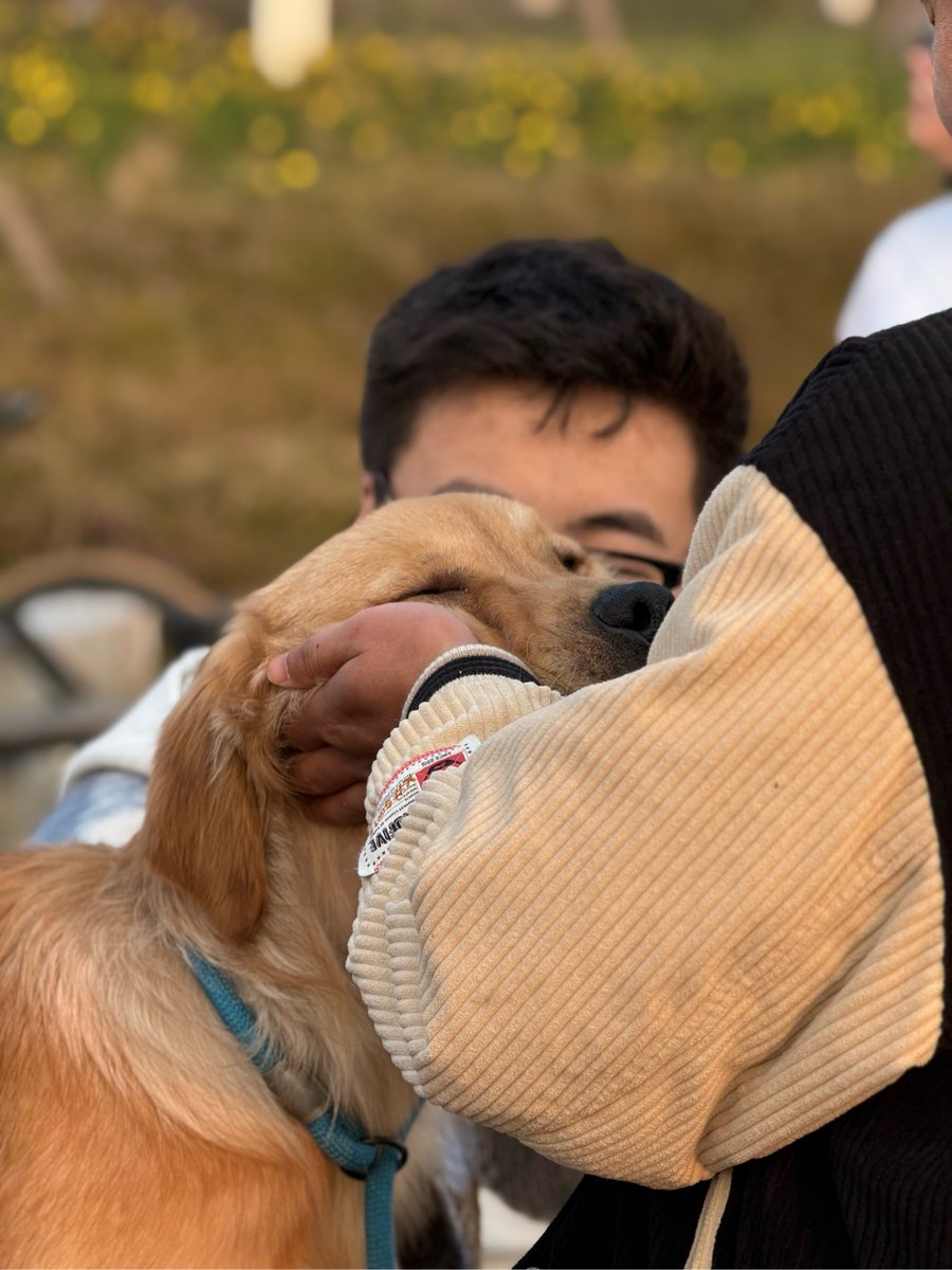 Kellykd1977's tweet photo. Spotted a golden retriever stealing the show at the crosswalk—tail wagging, owner laughing, sun glinting on its fur. Pure joy in 3 seconds! https://t.co/IjWmBDSHHW