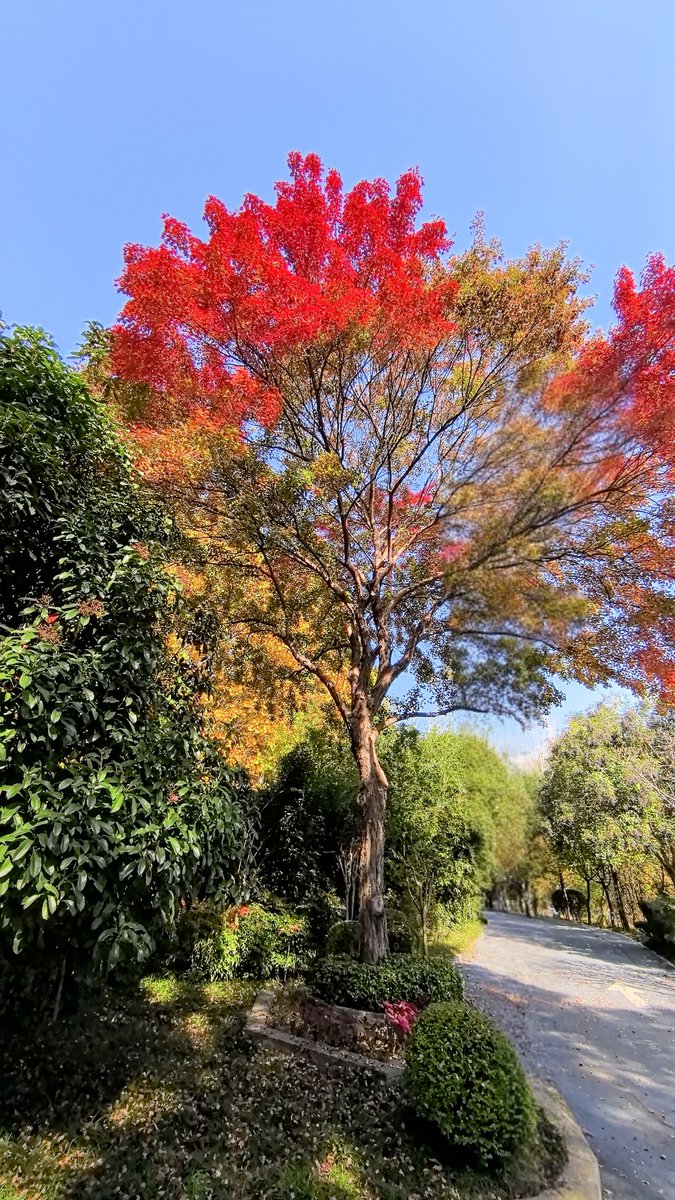 leeloo movie reviews tweet media