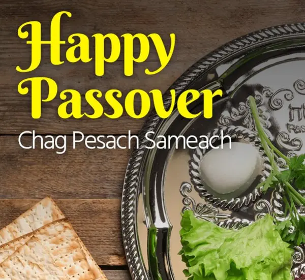 Robert Rabil tweet media