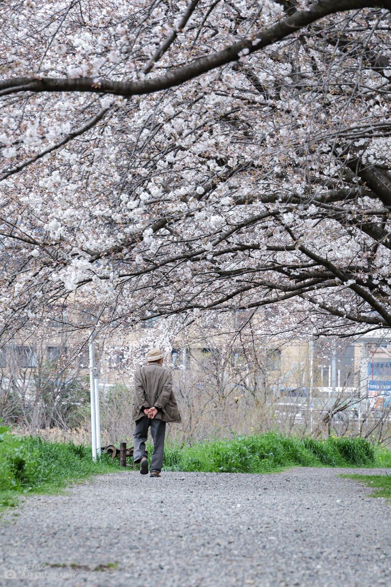 にゃも tweet media