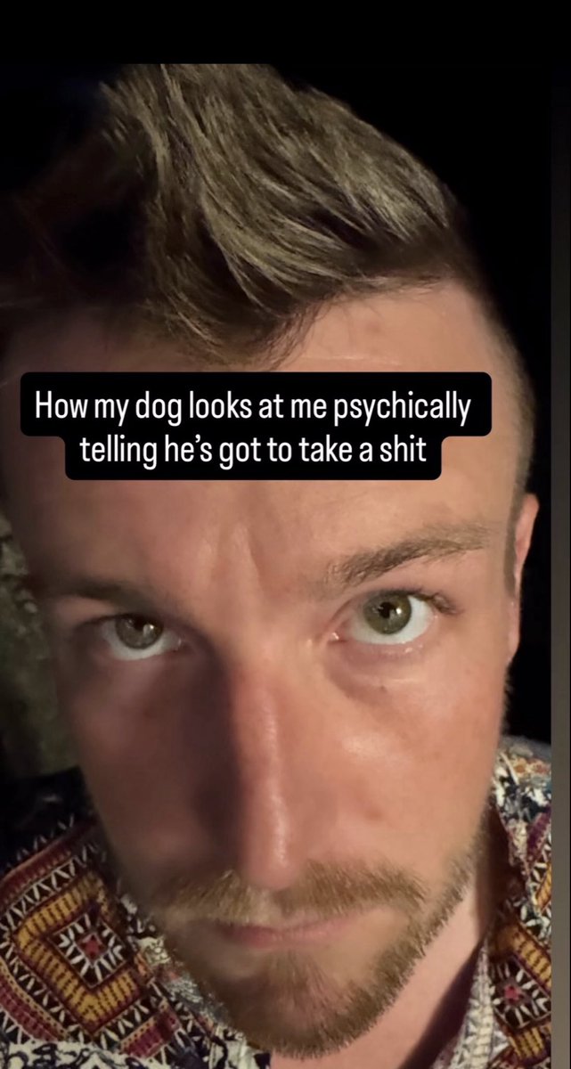 King Trout tweet media