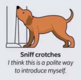 🔻♱⋆Styro-Wolf ⋆♱🔻 tweet media