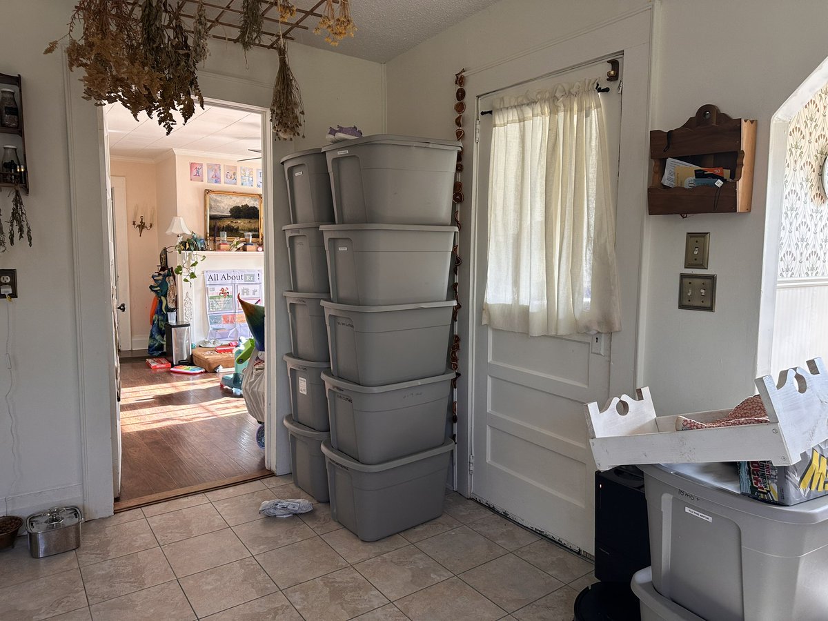 chlosiphus (boy and girl mom) tweet media