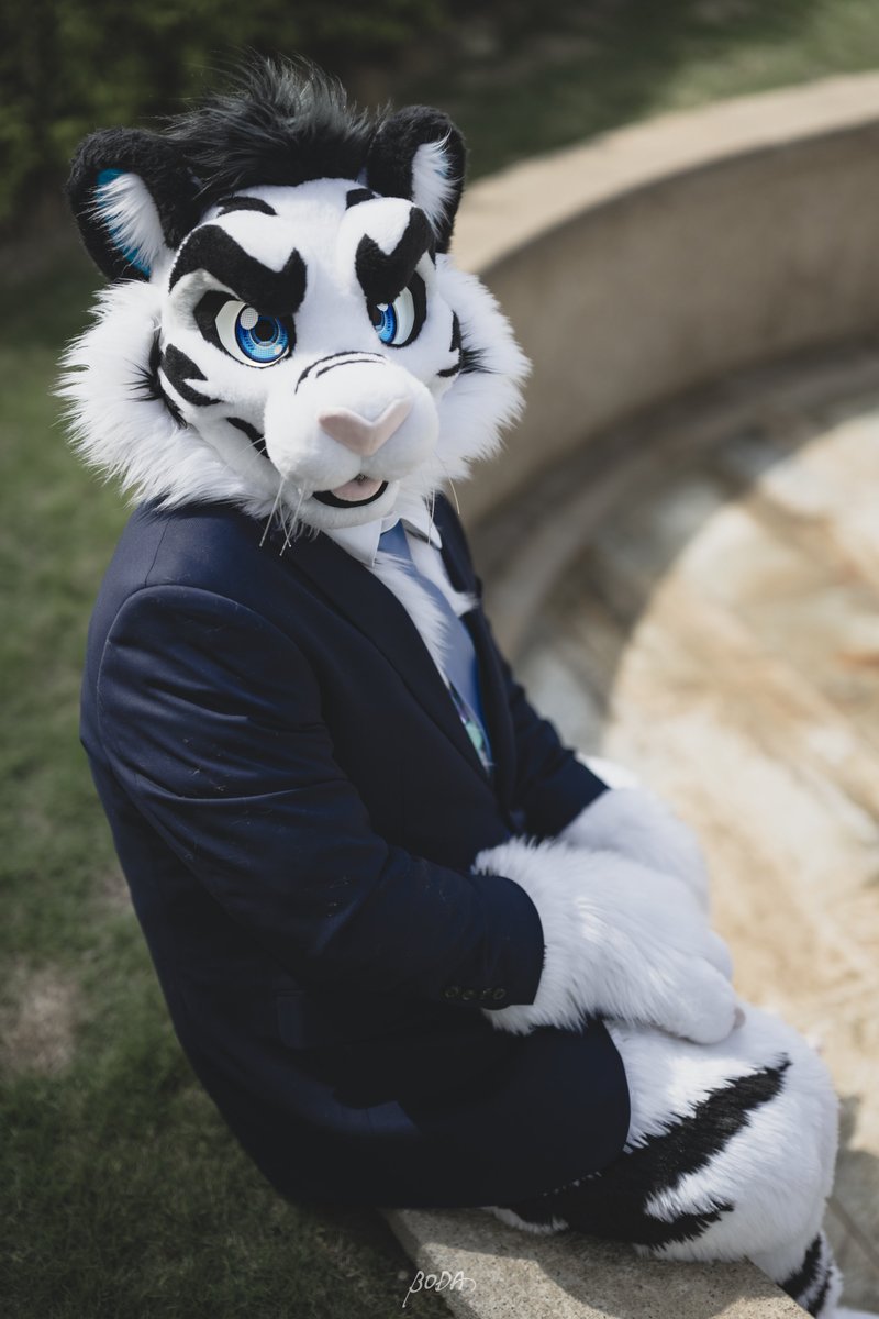 白虎 BaiHu tweet media