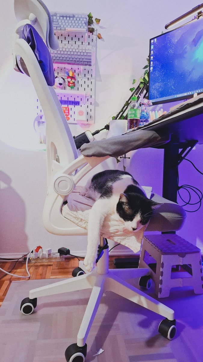 Ulverina 🍇 tweet media