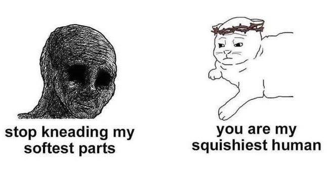 Punch Cat tweet media